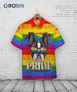 Ally Pride 3D Shirt Awesome Background Design Hawaiian Shirt, Hawaiian Pride Ally Pride 3D Shirt Awesome Background Design Hawaiian Shirt, Hawaiian Pride