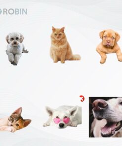 Pet Custom Photo American Flag Hawaiian Shirt, Custom Dog Cat Picture In Hawaii Aloha Beach Shirts, Gift for Dogs Lover