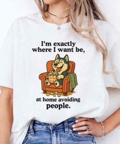 I’m Exactly Where I Want Be At Home Avoiding People Unisex Shirt