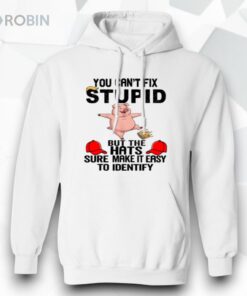 You Can’t Fix Stupid Shirt
