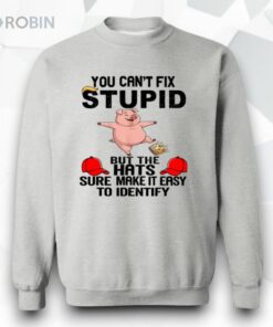 You Can’t Fix Stupid Shirt