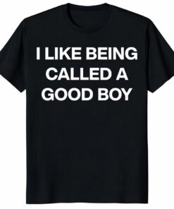 I Like Being Called A Good Boy Unisex Shirt – Funny Gen Z Meme Tee