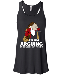 I'm not arguing, I'm explaining why i'm right t-shirt, v-neck, tank, hoodie