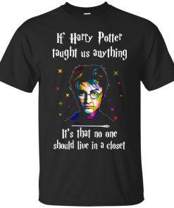 If Harry Potter taught us anything. It's that no one should live in a closet - T shirt