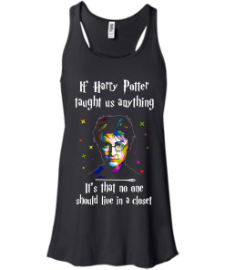 If Harry Potter taught us anything. It's that no one should live in a closet - T shirt